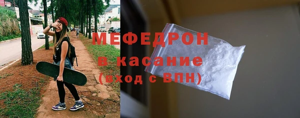 индика Белокуриха