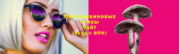 индика Белокуриха