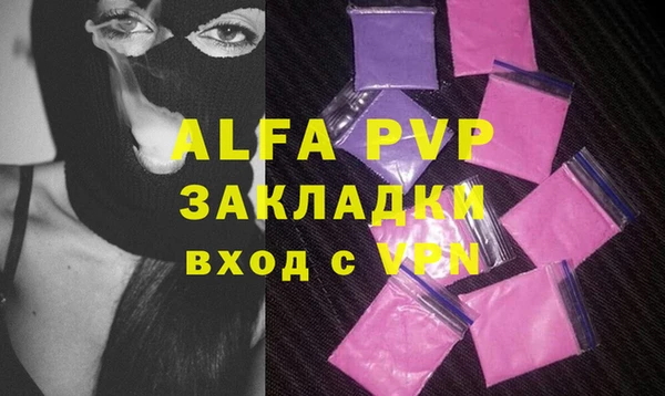 индика Белокуриха