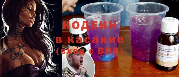 индика Белокуриха