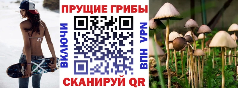 наркотики  Спас-Деменск  Галлюциногенные грибы мицелий 